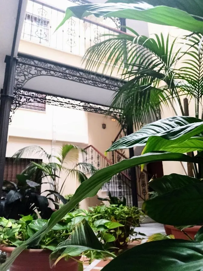Botanic Suite Málaga